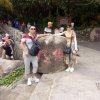 无悔今生的头像
