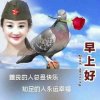 吉祥如意的头像