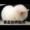 80後小坚果(互转互动有转必回)的头像