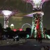 康康的头像