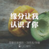 擦肩而过（暂退）的头像