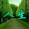 安然的头像