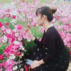 忆荘城 【☞静☜】的头像