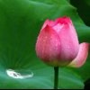 滴水藏海的头像