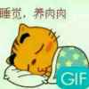 “~”缘“~”的头像