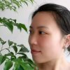 芒果女的头像