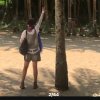 九儿的头像