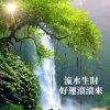 早晨的阳光(5)的头像