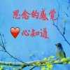 带刺的的头像