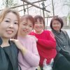 梅的头像
