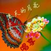 春天<随迹回访>的头像