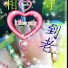今生爱你无悔的头像