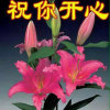 梦想成真的头像