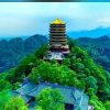 Z枫叶L的头像