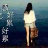 断点的头像