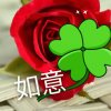 如意的头像