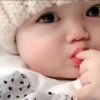 清者的头像