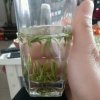 阿龍的头像