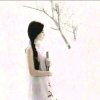 安静和美的头像