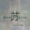 大风车专业婴儿游泳馆的头像