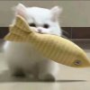 甜甜的头像