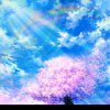 彩云！(拒币) 的头像