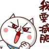 小猫的头像