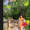 知音(唐姐)快乐每一天的头像