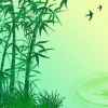 幽兰雅竹的头像