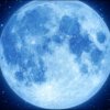 蓝月亮的头像