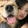 清欲的头像