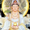 紫竹秋月夜的头像