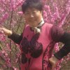 吉祥的头像