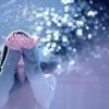 雪峰的头像