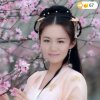 淡雅天馨的头像