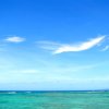 海阔天空的头像