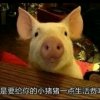 缘梦倩的头像