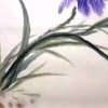 杭州暂离的头像