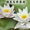 开心的我的头像