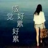 我只在乎你 的头像
