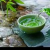 菩提子的头像