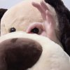W丹的头像