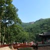 花落的头像
