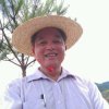 善心/同逍遥的头像