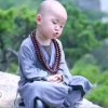 鬼话连篇的头像