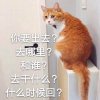 L'homme Bizarre的头像