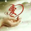 因为爱所以爱《退》的头像