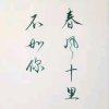醉流年的头像