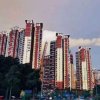 月亮笑了的头像