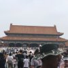 菩提韩丽琴的头像